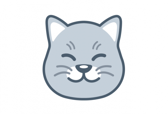 Curious Cat App Review & Money Making Guide