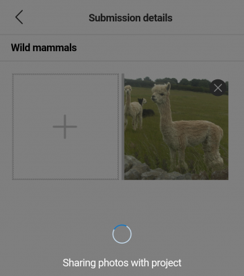 MS Trove Upload Process